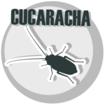 cucaracha icon