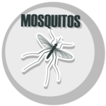 mosquitos icono