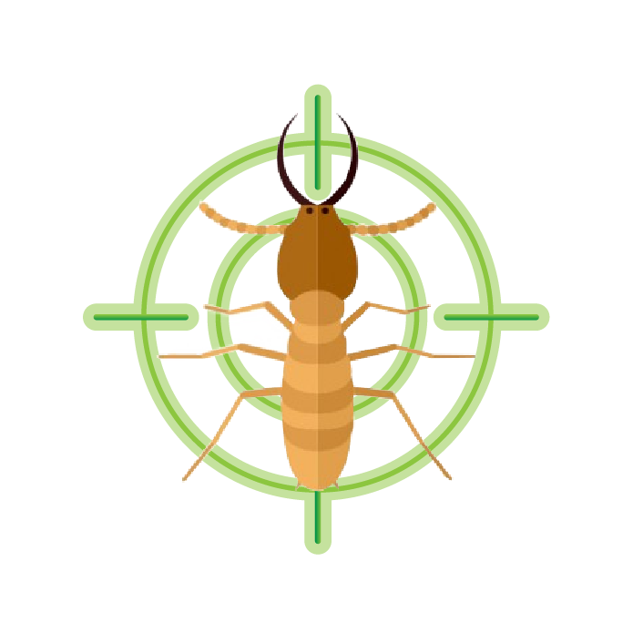 icono termita